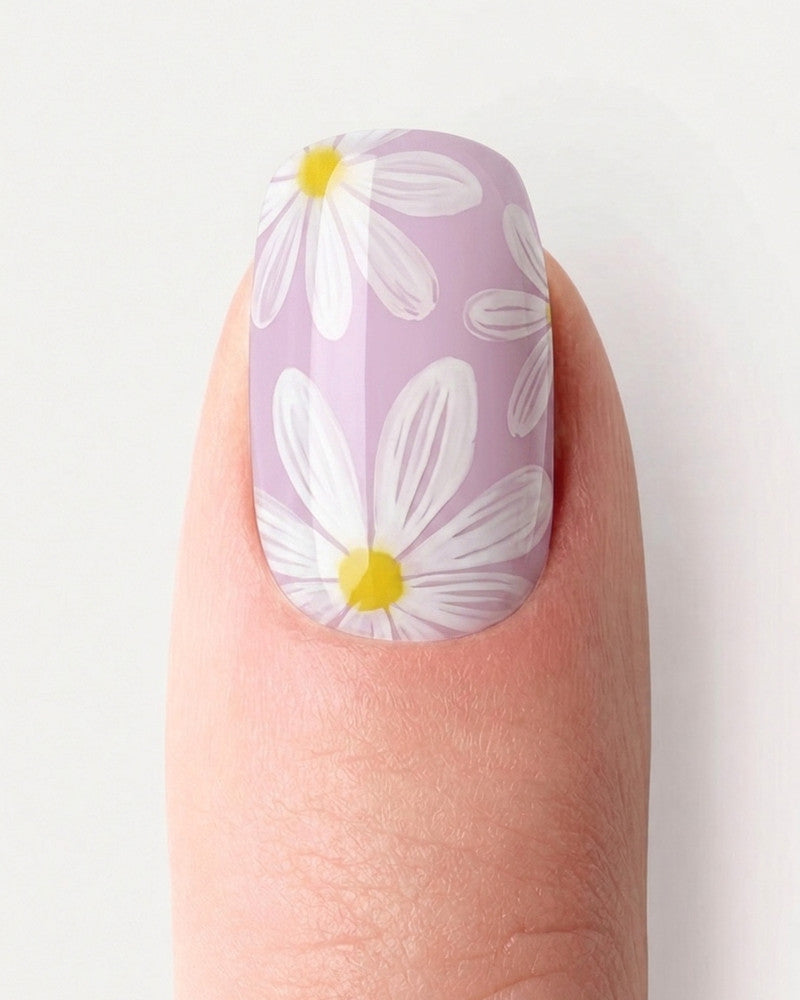 Daisy Field - Gleessy