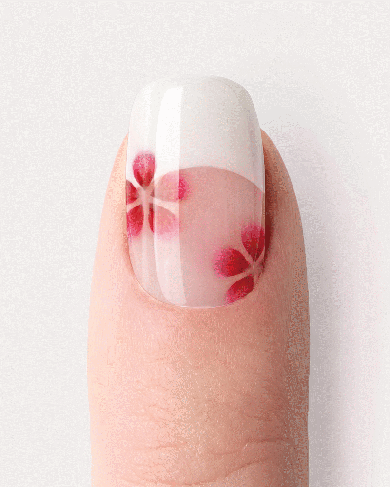 French Cherry Blossom - Gleessy