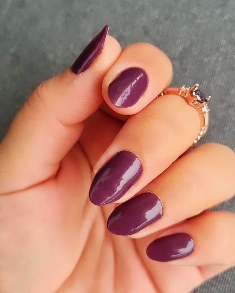 Aubergine - Gleessy