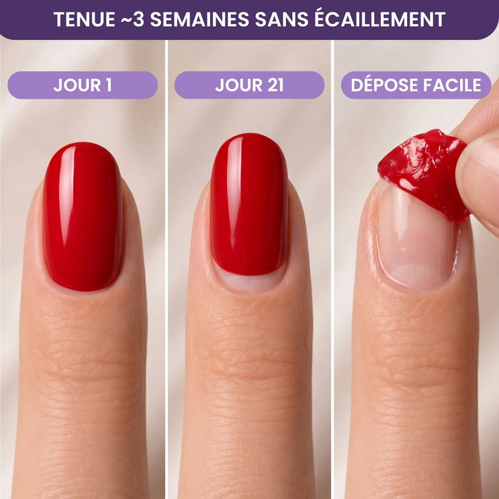 Pack Découverte