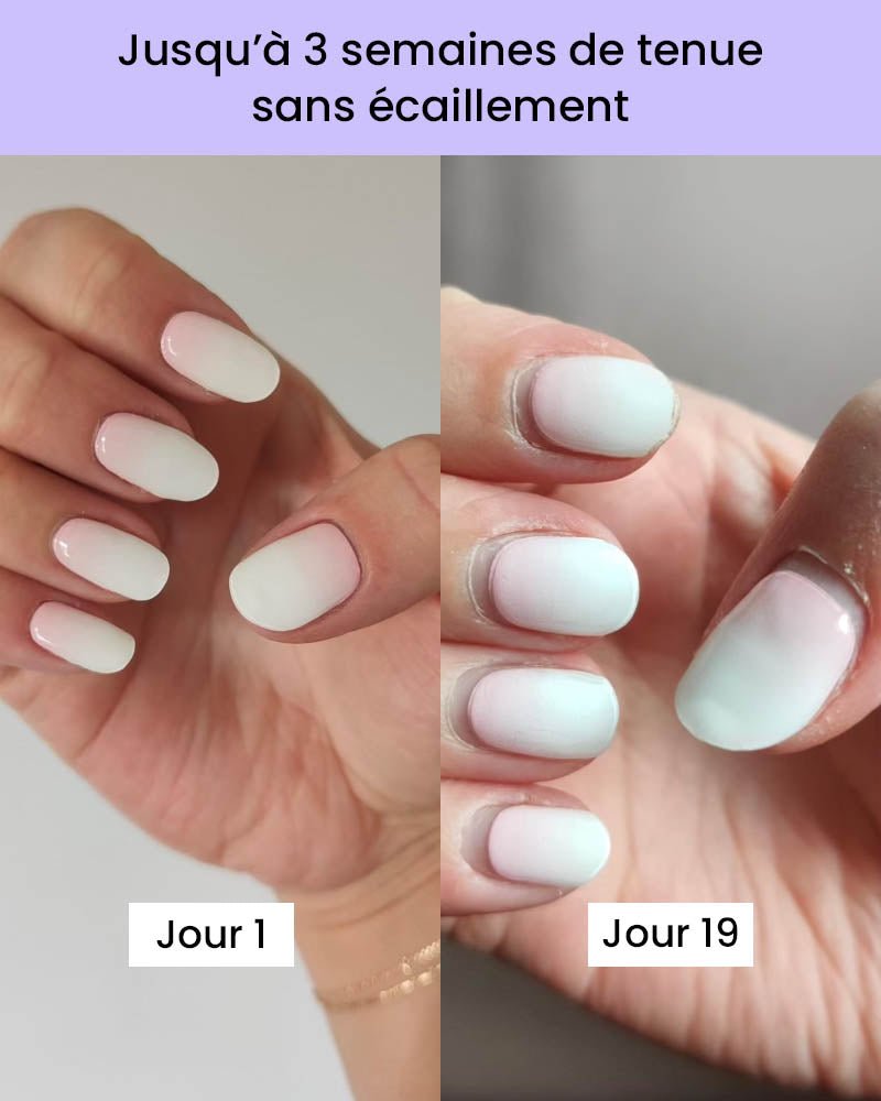 Argyle givré - Gleessy