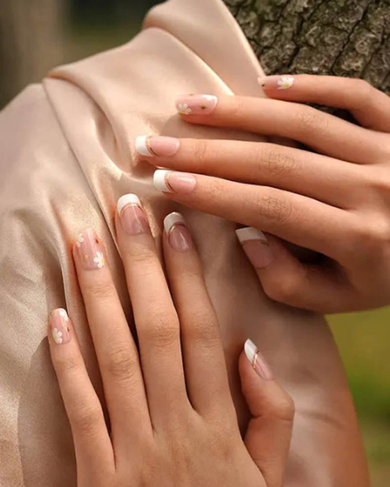 French daisy - Gleessy