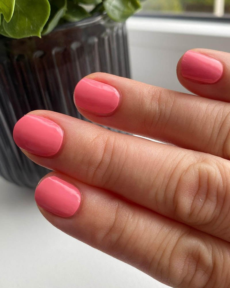 Rose bonbon - Gleessy