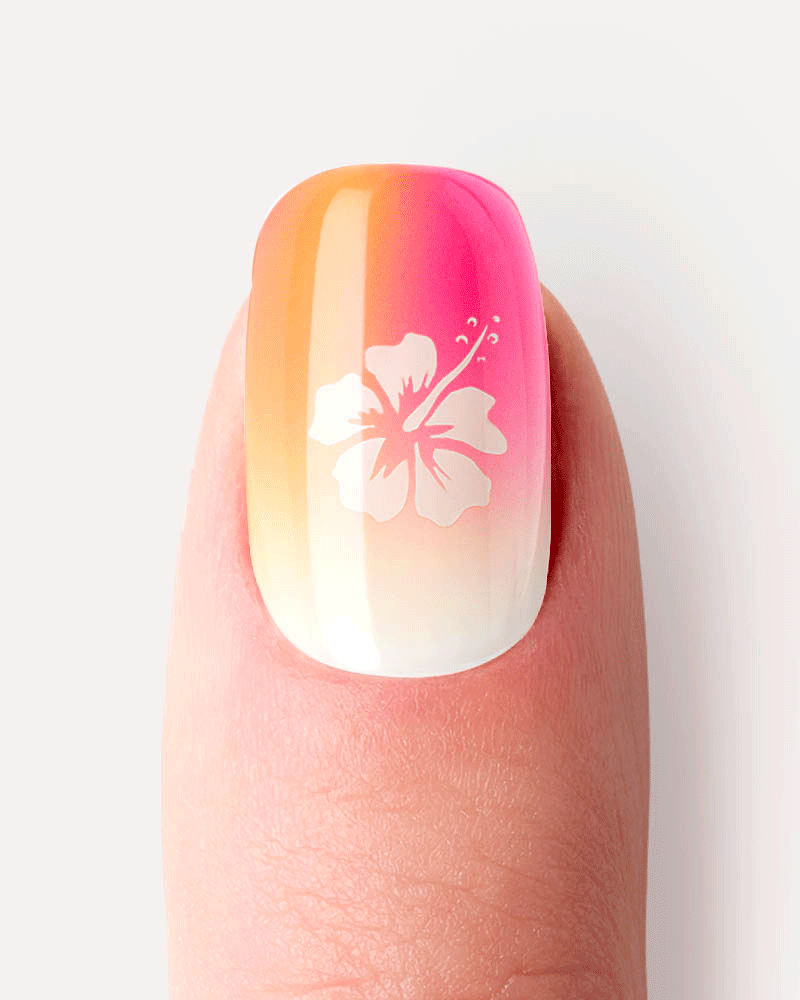 Aloha