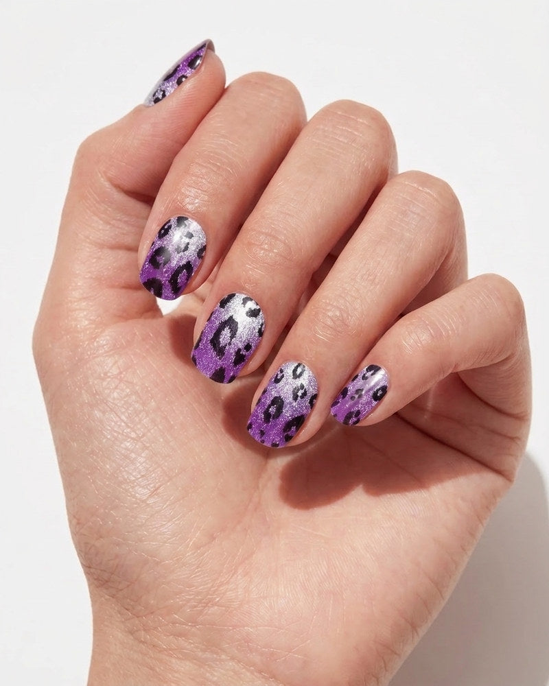 Wild Violet - Gleessy