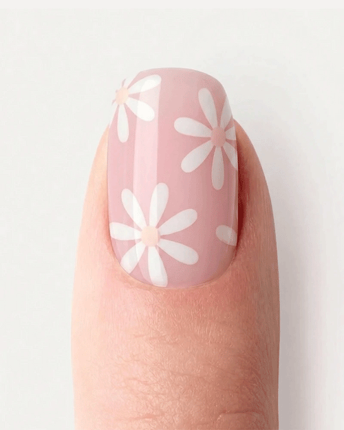 Daisy Dream - image