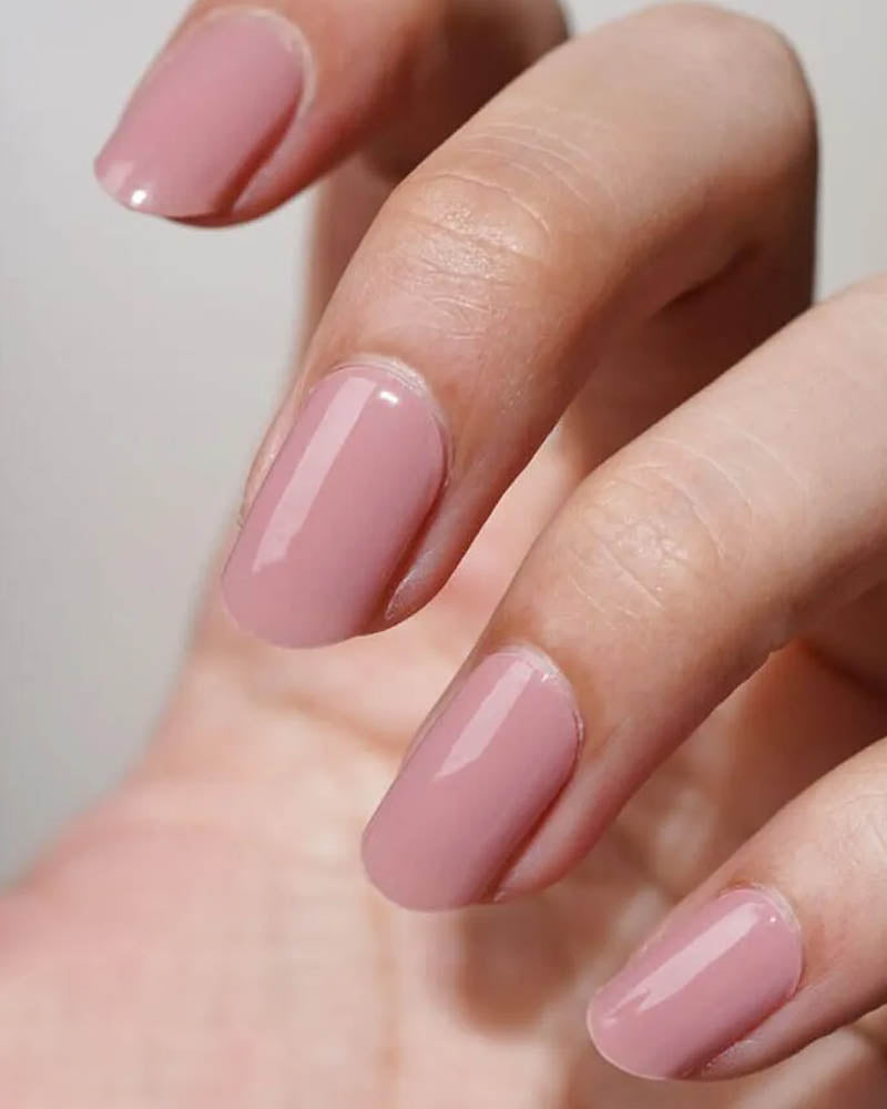 Terre de Rose