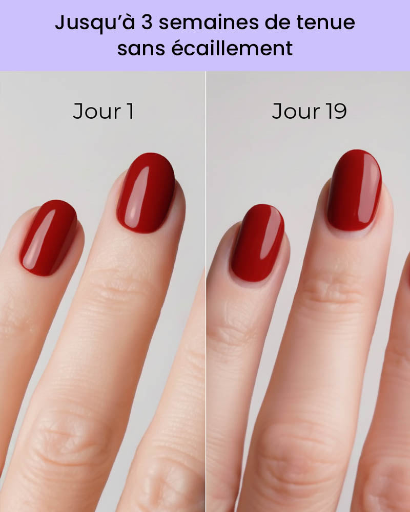 Pack Découverte