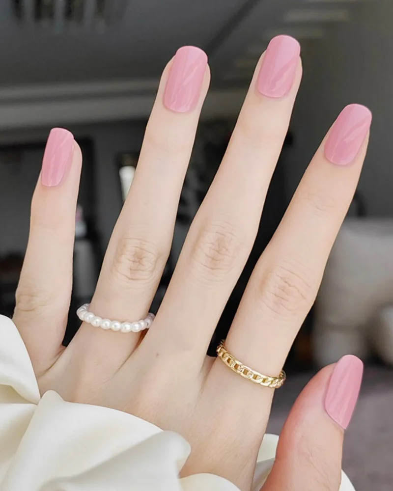 Blush rose