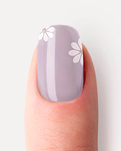 Daisy - image