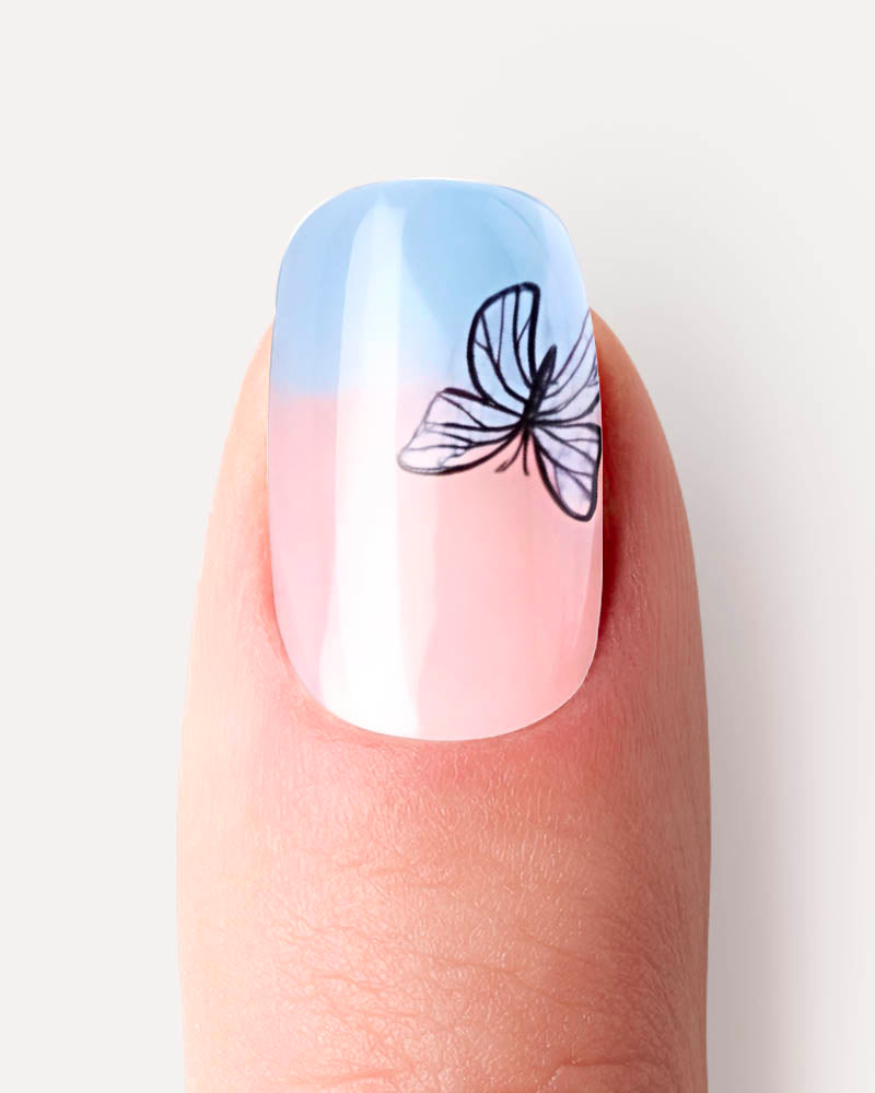 French bleu papillon