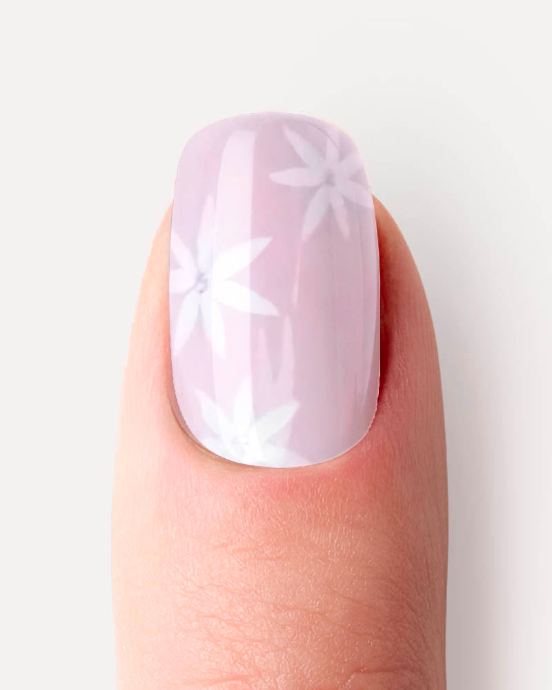 Pink Daisy