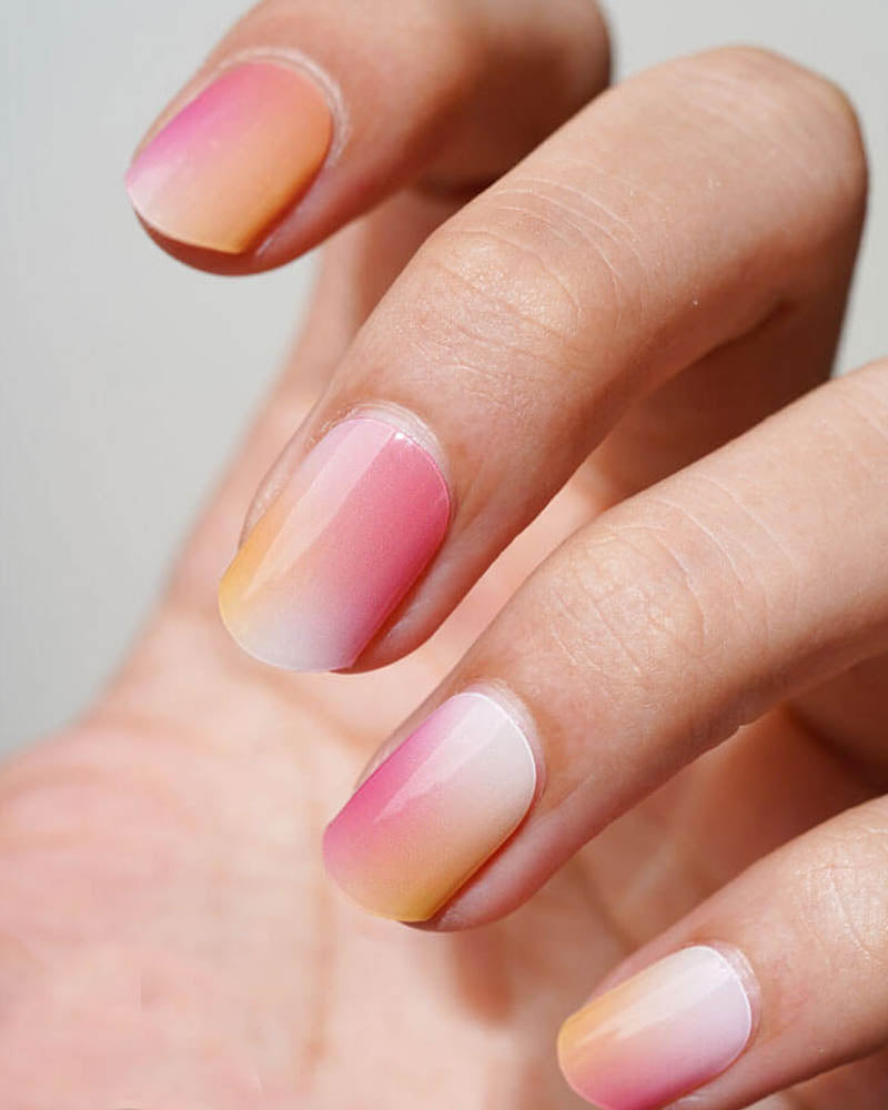 Sorbet
